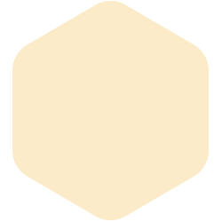 Shiny Silk T15 186.2