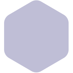 Purple Dragon T15 212.4